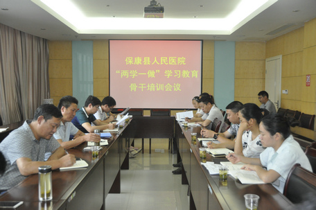 組織開(kāi)展“兩學(xué)一做”學(xué)習(xí)教育黨務(wù)骨干培訓(xùn)